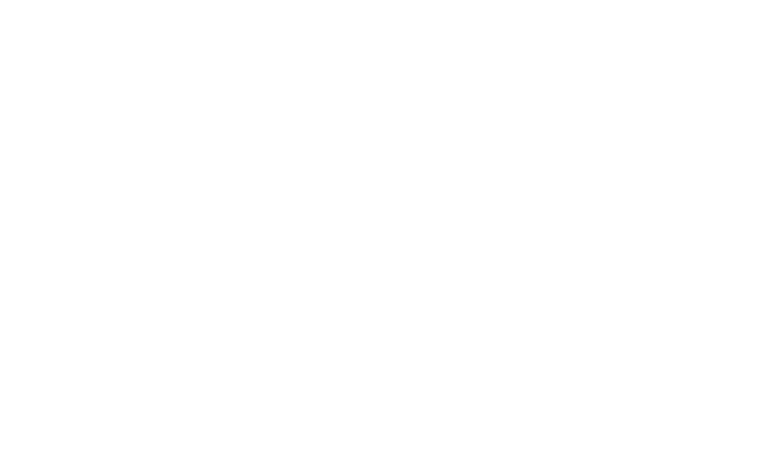 Svr Gümrükleme Logo Beyaz